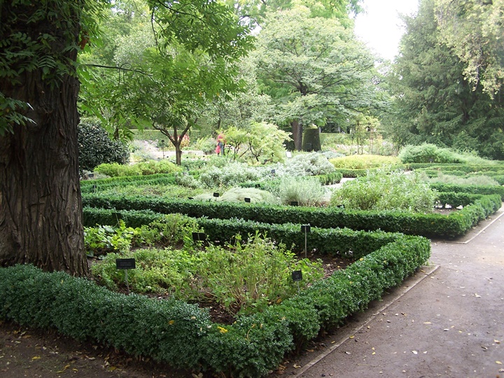 madrid botanik parkı