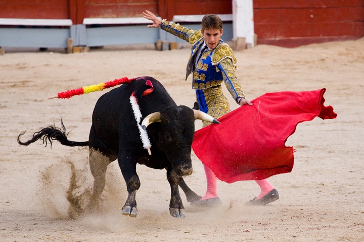 madridde gezilecek yerler - Las Ventas bullfighting arenasında boğa güreşi görüntüleri