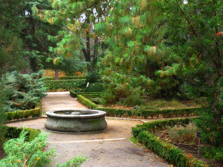 madridde gezilecek yerler - Madrid Kraliyet Botanik Parkı