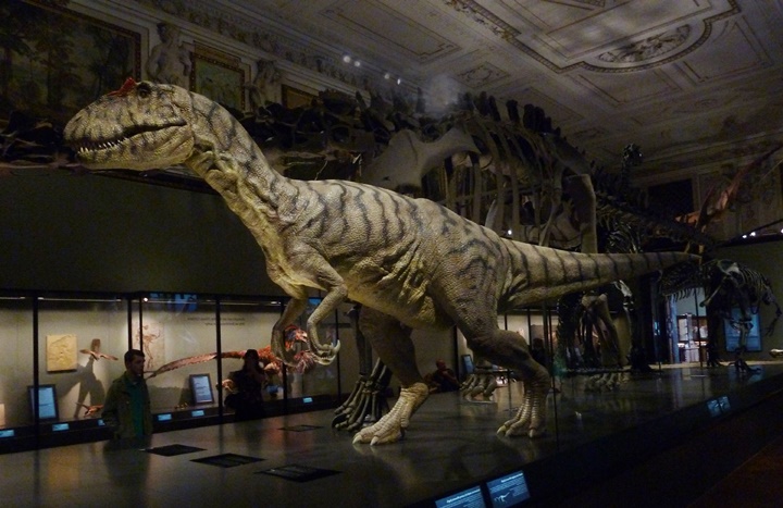 Viyana Naturhistorisches müzesi - Viyana doğa tarihi müzesi