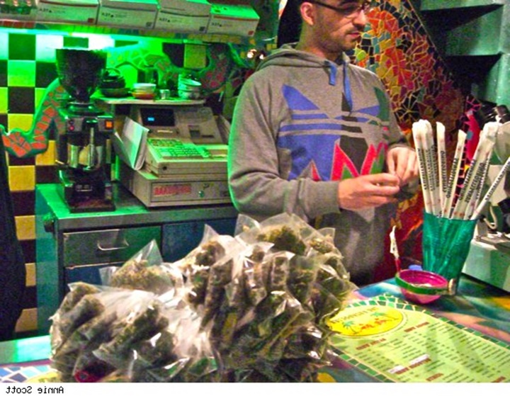 Amsterdam Coffee Shop nedir