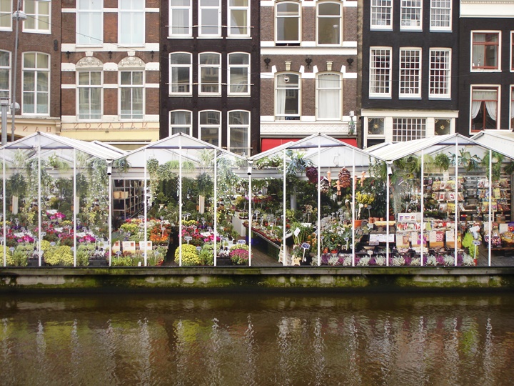 Amsterdam Çiçek Pazarı