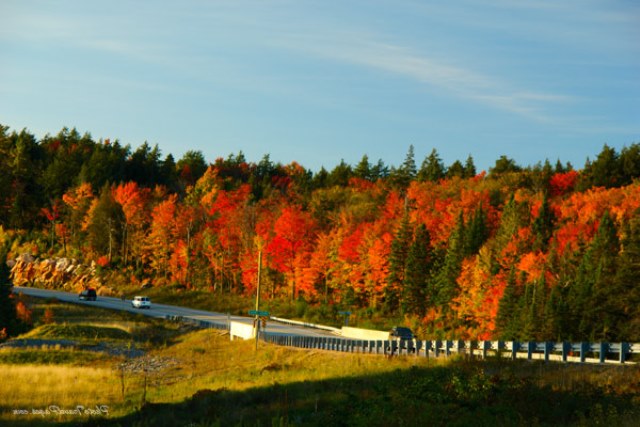 Kanada Ontario'ya ne zaman gidilir