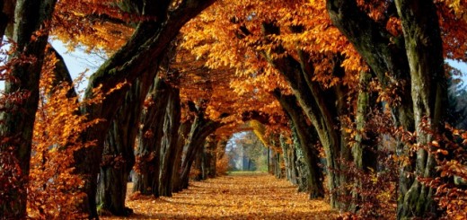 sonbaharda gidilebilecek ülkeler