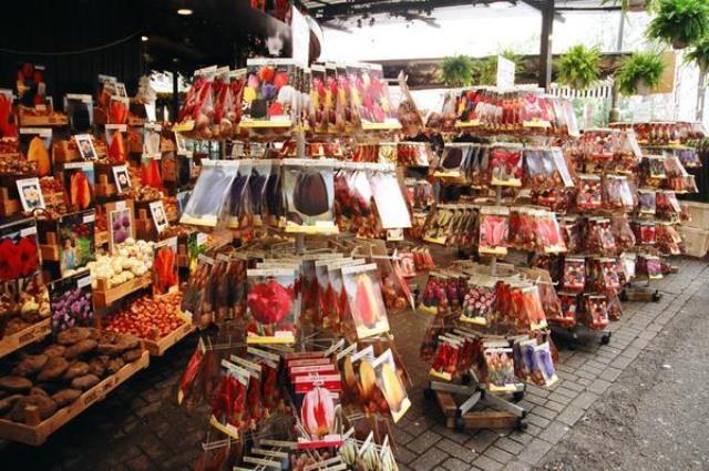 Hollanda'dan hediyelik ne alınır