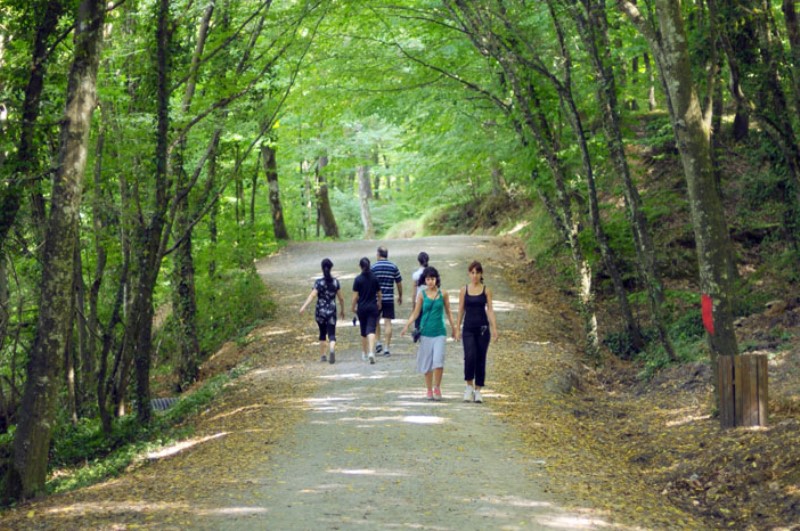 Belgrad ormanı piknik alanları