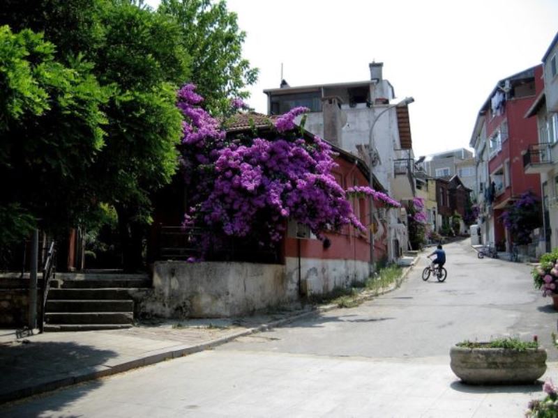 Heybeliada piknik alanları