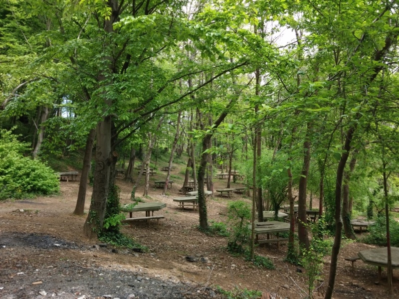Kaymakdonduran Beykoz piknik alanları