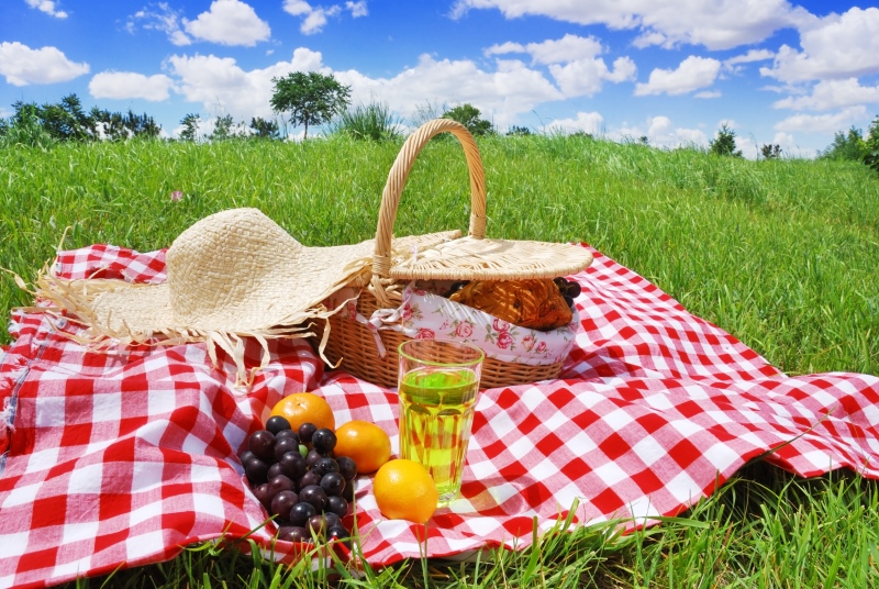 piknik alanları istanbul