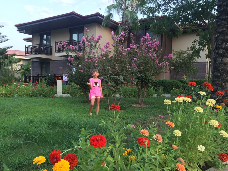 tui blue palm garden hotel resimleri