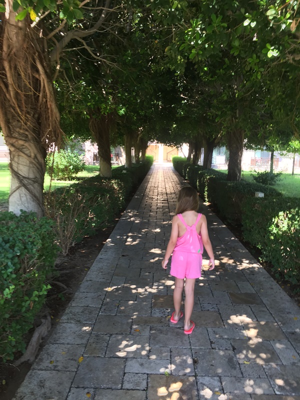 tui blue palm garden hotel