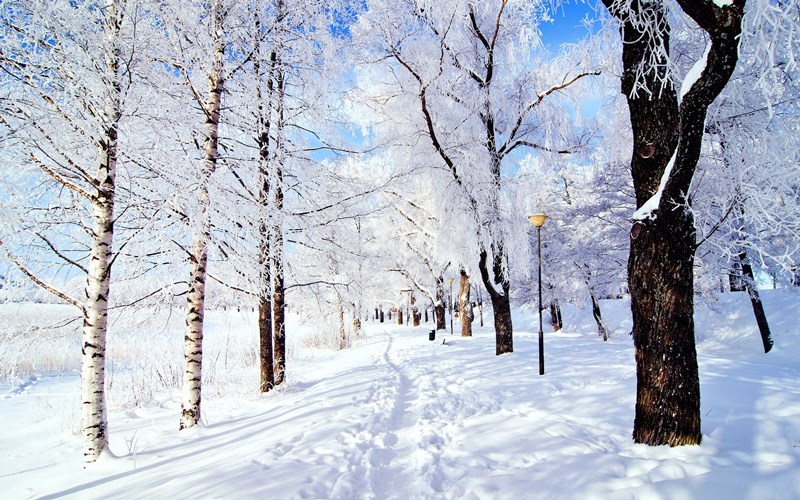 yurt-disi-kayak-turlari