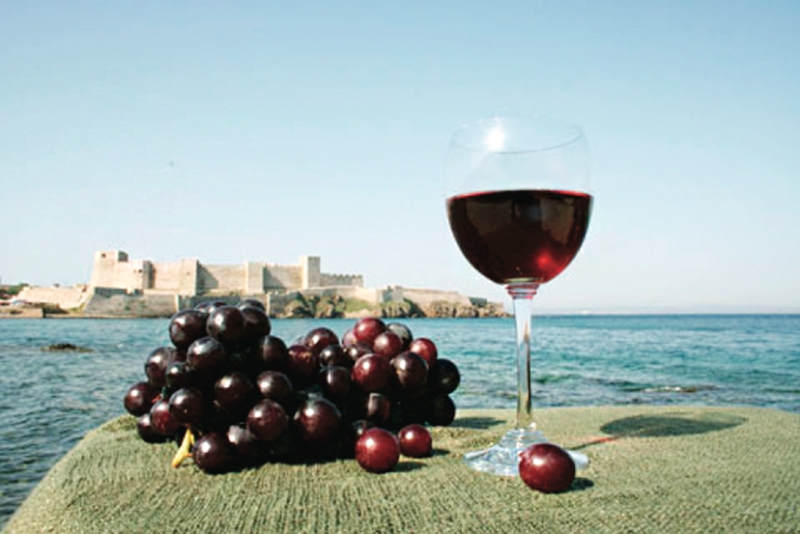 Bozcaada şarap tadım turları