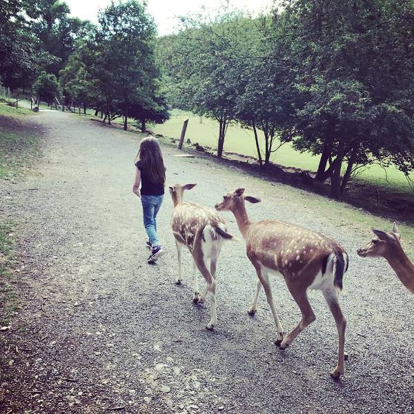 Almanya şehirleri Stuttgart hakkında bilgi