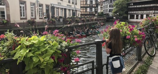 strazburg petite france ( küçük fransa )