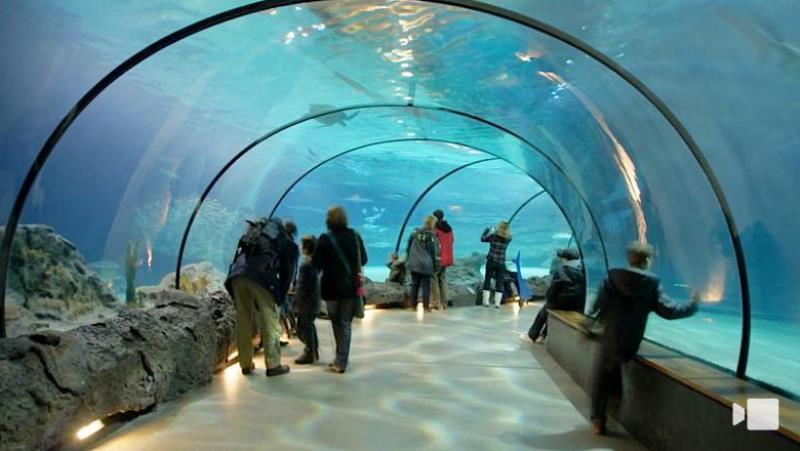 Rotterdam Diergaarde Blijdorp