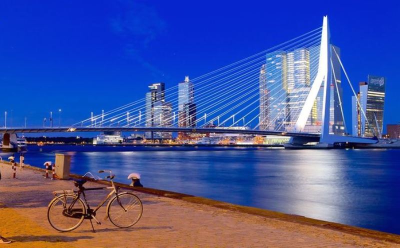 Rotterdam Erasmus Köprüsü