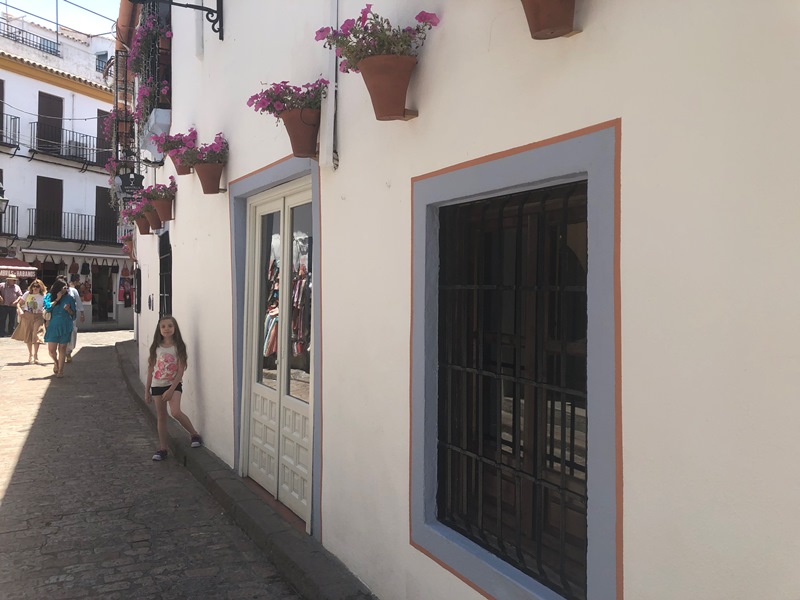 Cordoba çiçekli cadde