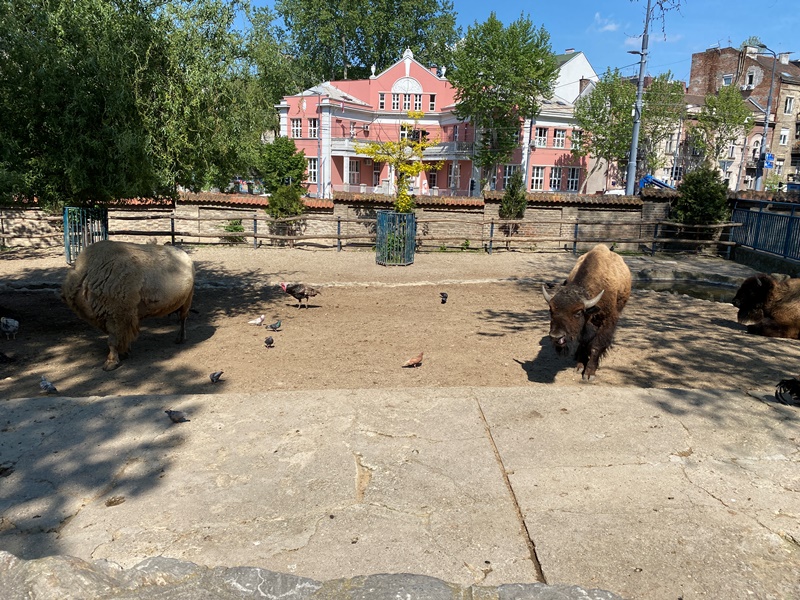 belgrad hayvanat bahcesi - belgrad gezisi