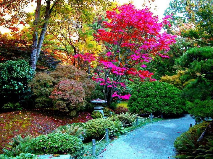 madridde gezilcek yerler - Madrid Kraliyet Botanik Parkı hakkında bilgi