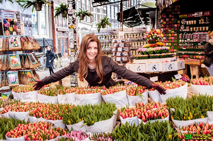Amsterdam çiçek pazarı laleleri