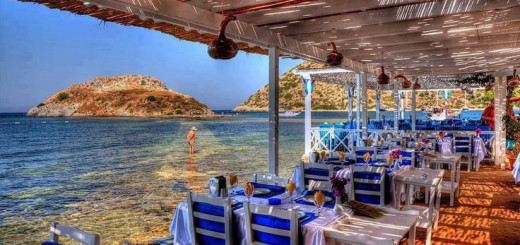 Avis-bodrum-gumusluk