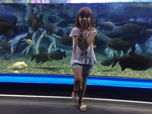 sazova parkı akvaryum