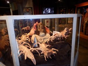 Holywood studyolarındaki film malzemeleri