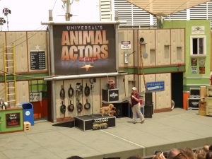 Los angeles hollywood stüdyoları etkinlikleri