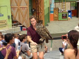 Universal studyoları eglenceleri.jpg